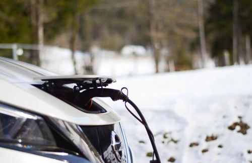 Bosc del Meneghì - Foto 45