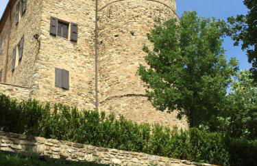 Castello di Viano - Foto 47