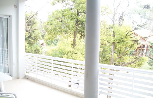 Avutarda de Carilo - Photo 17