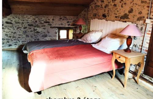 la longère du plessis Mornay, 30 min du Puy du fo, wifi, parking, jardin - Foto 16