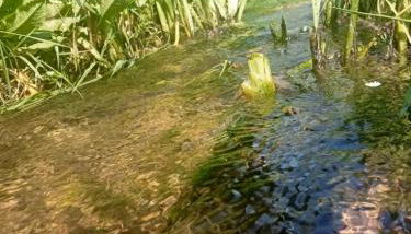 Entre terre et mer - Foto 3