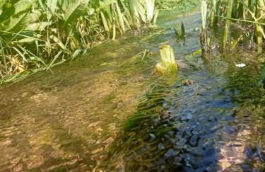 Entre terre et mer - Foto 3