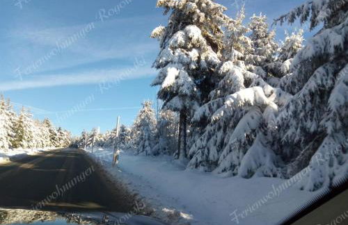 Ferienwohnung Rogowski - Foto 49