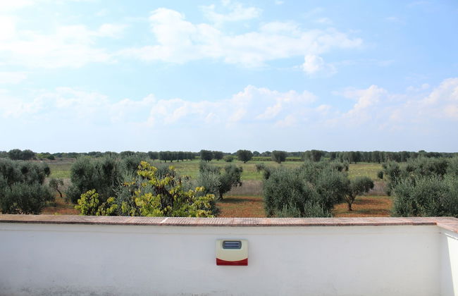 Masseria La Camardia - Foto 77