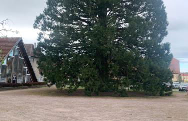 Spacieux 120 metres carré tout confort - Foto 18