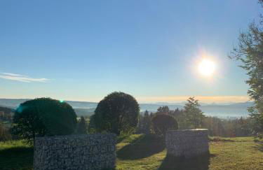 Gut Buchenhof - Photo 64