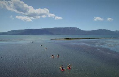 Kitehouse Ušće B&B - Foto 7