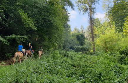 Casa Magica - Foto 37