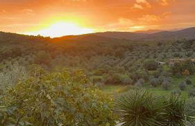 Casa di Gio - Foto 29