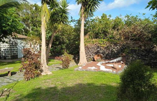 Prédio do Castelo - Photo 30