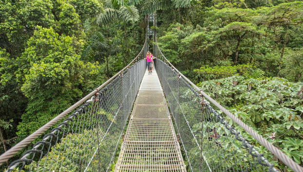 Pontes supensas pela selva