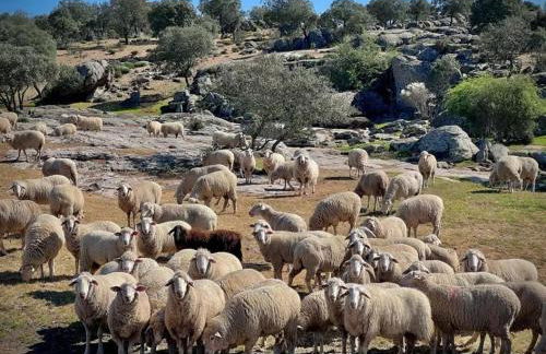 El MIRADOR DEL TORMES - Foto 18