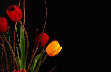 Xenonas Zagorisio - Photo 26