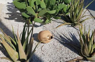 Mira Living Concept Suites Adults Only - Foto 11