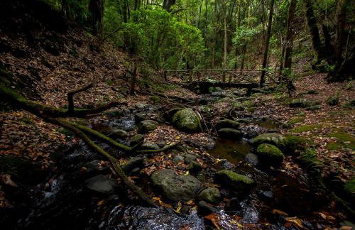 Casa Rural Sofia - Foto 15