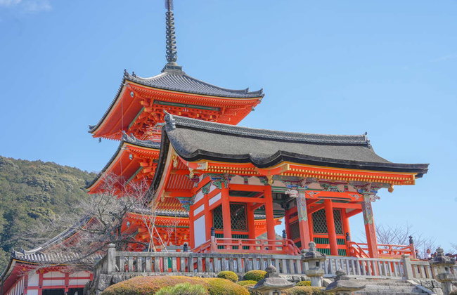 Excursion à Kyoto - Photo 6