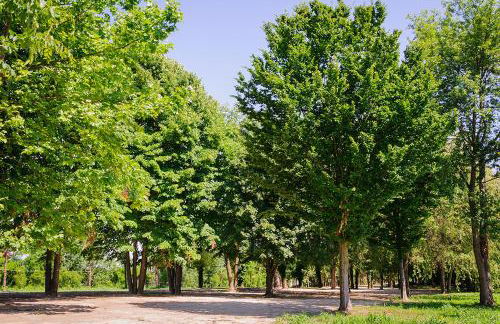 Agriturismo Villa Serena - Photo 28