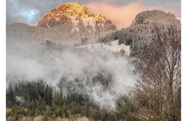 Chalet Nordic Modern Retreat - Photo 31