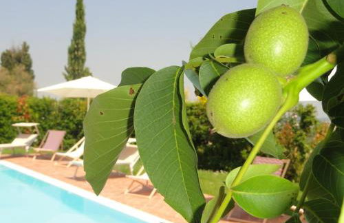 Poggio Novello - Foto 17