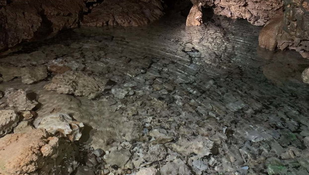 Tour por las cuevas de Bonaire con snorkel - Foto 3