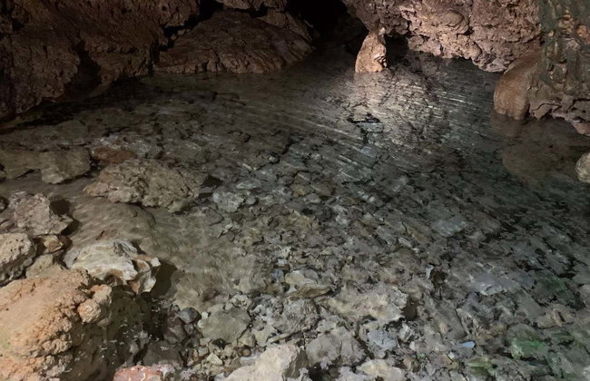Visite des grottes de Bonaire avec snorkeling - Photo 3