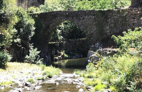 Casa dos Veados - Foto 36