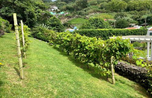 Casa do Açor - Villaverde Azores - Photo 108