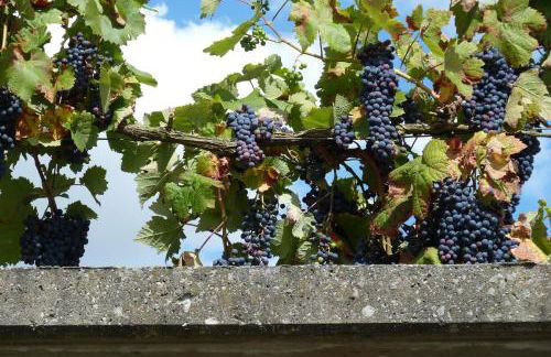 Ferienwohnung Nörpel - Foto 13
