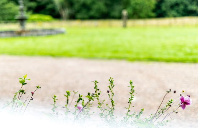 Melville Castle - Foto 62