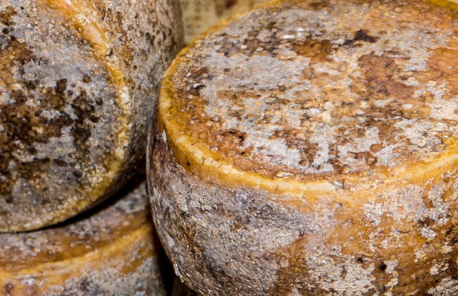 Cagliari Food Tasting - Photo 1