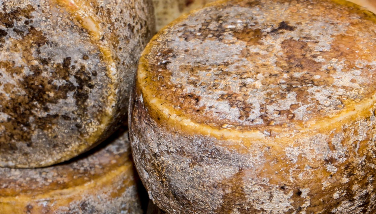 Cagliari Food Tasting