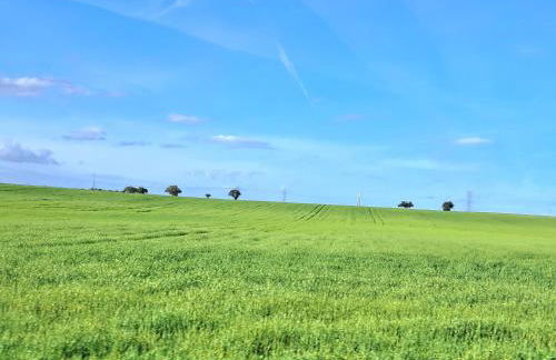 Casa Jasmim - charming houses - Alojamento Local - perto Zambujeira do Mar - Foto 58