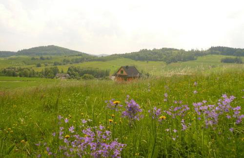 Domek jak z bajki - stylowy domek z bali z kominkiem - Foto 29