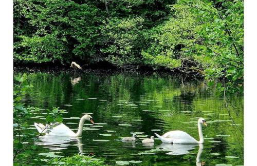 Holiday home Littard - Foto 17