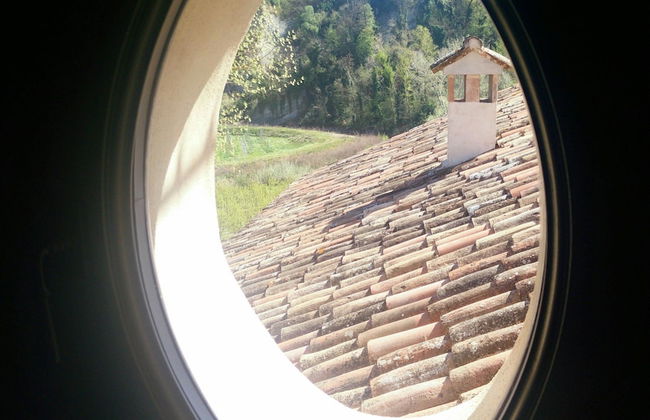 Azienda Agricola Baccagnano - Photo 40