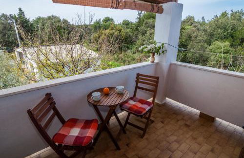 Apartments Cvita Ugljan - Foto 42