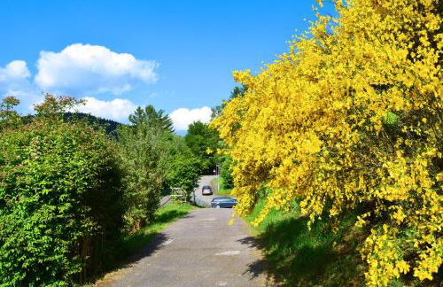 Pazdur Alpirsbach - Foto 32