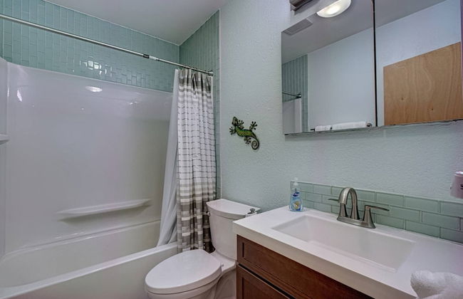 Happy Gecko - Foto 20