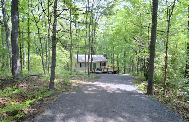 A Humble Abode - A Modern Woodsy Retreat - Foto 14