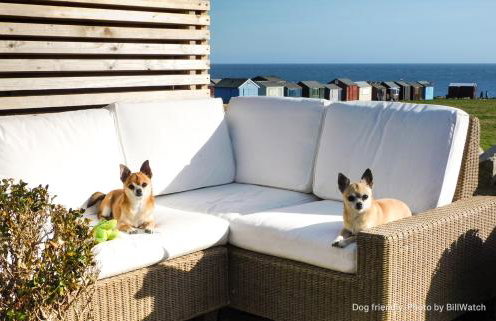 BillWatch Cottage - Foto 17