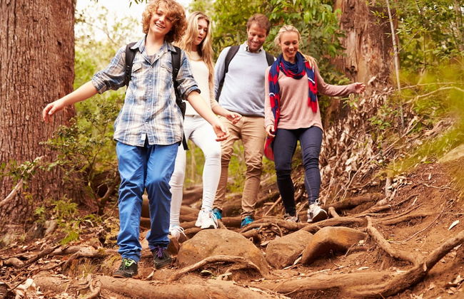 Appartement am Plauer See in Ganzlin - Foto 38