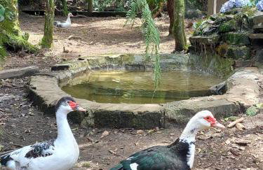 Casa Alpes Verdes Canela RS - Foto 31