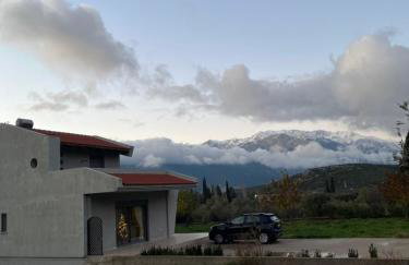 Stellas guesthouse near Arachova - Foto 38