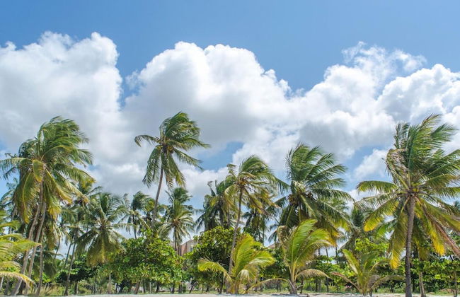 Chrystal Baharini - Foto 21