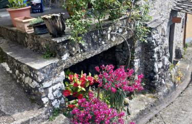 IL NIDO VERDE - Photo 35