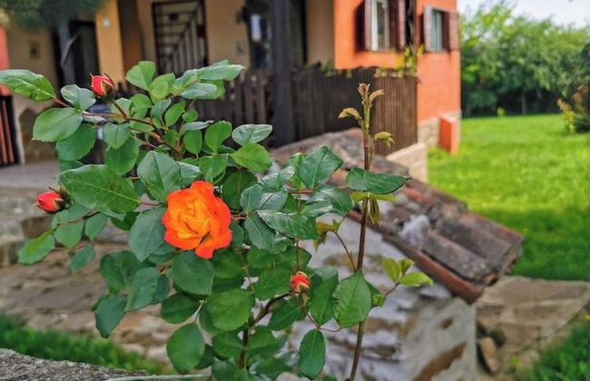 Cozy 1 Bed Cottage in Ognen, Near Karnobat, Burgas - Photo 33