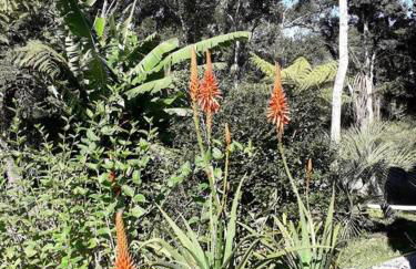 Cabana aconchegante na natureza - Foto 39