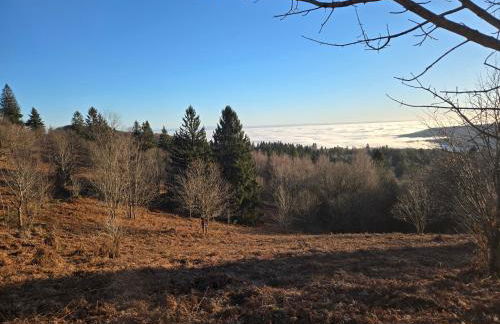 Chalet Le DRUZIA at 1000 m - Foto 43