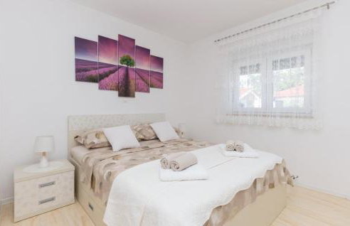 Awesome Home In Kamenmost With Jacuzzi - Foto 32