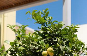 Mela Villas - Foto 18